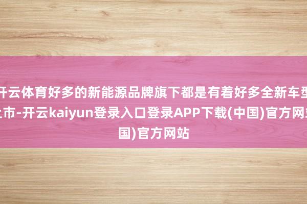 开云体育好多的新能源品牌旗下都是有着好多全新车型上市-开云kaiyun登录入口登录APP下载(中国)官方网站