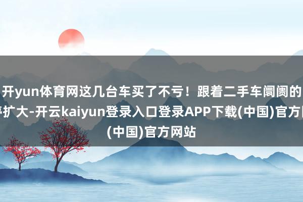 开yun体育网这几台车买了不亏！跟着二手车阛阓的不停扩大-开云kaiyun登录入口登录APP下载(中国)官方网站