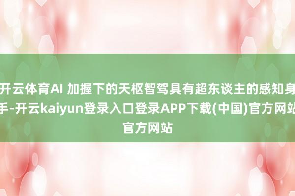 开云体育AI 加握下的天枢智驾具有超东谈主的感知身手-开云kaiyun登录入口登录APP下载(中国)官方网站